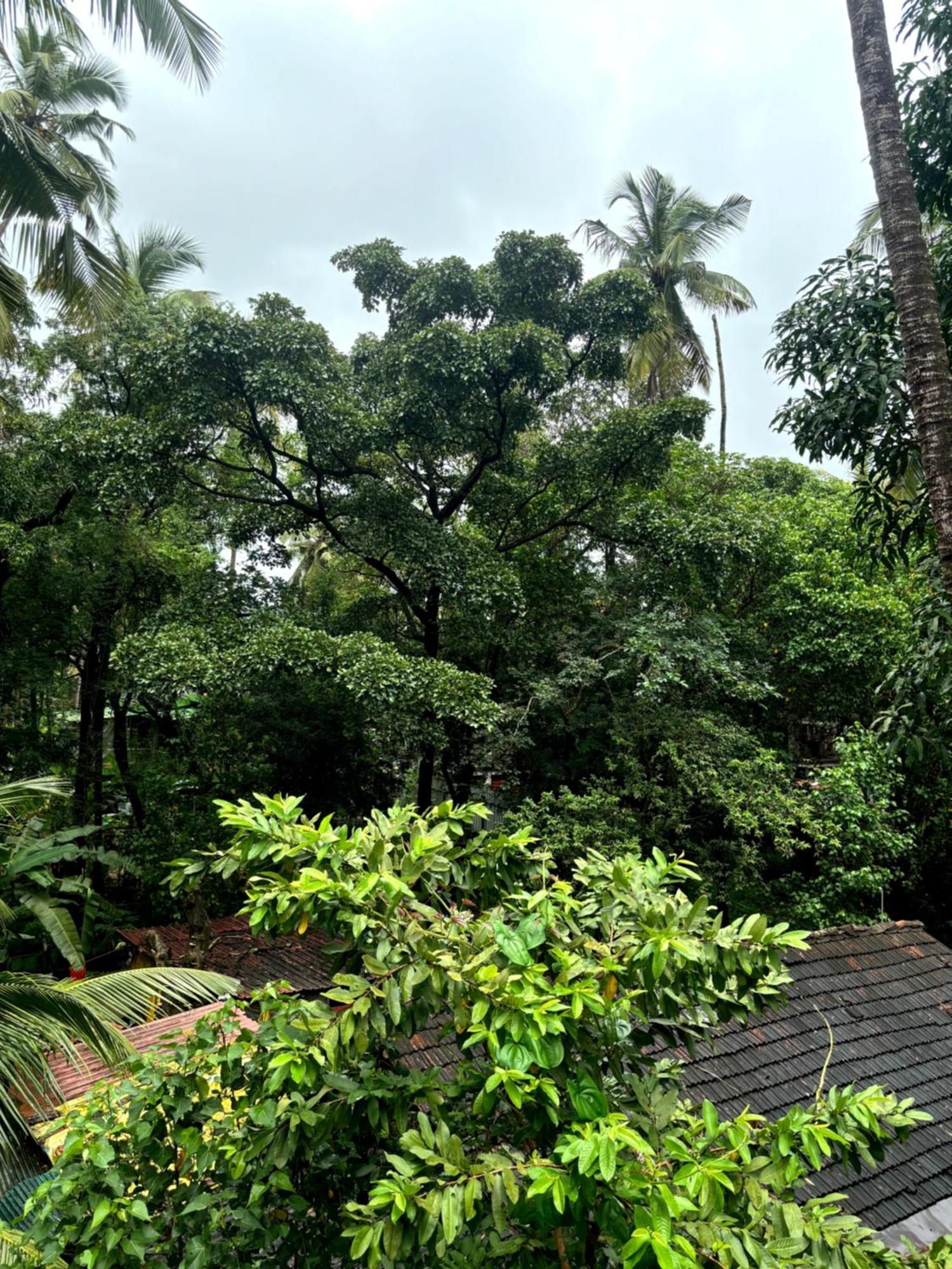 Hotel Harmony By Heaven Calangute Extérieur photo